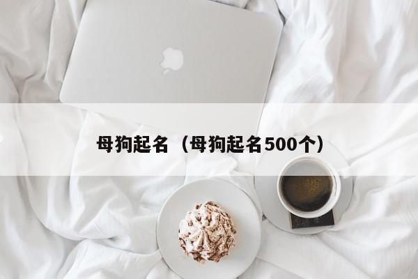 母狗起名(母狗起名500个)