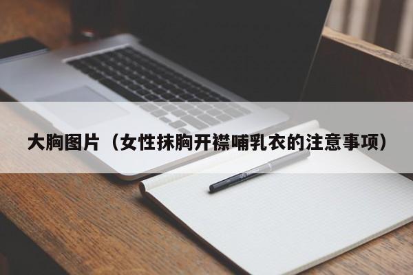 大胸图片(女性抹胸开襟哺乳衣的注意事项)