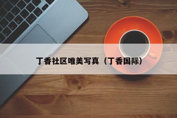 丁香社区唯美写真(丁香国际)