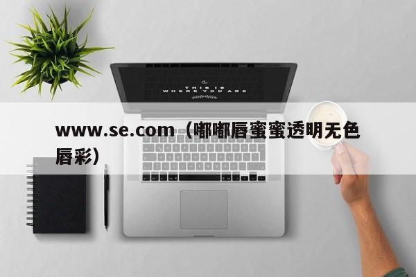 www.se.com(嘟嘟唇蜜蜜透明无色唇彩)
