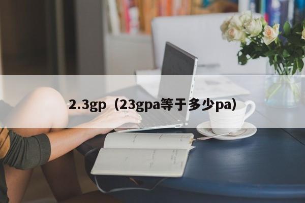 2.3gp(23gpa等于多少pa)
