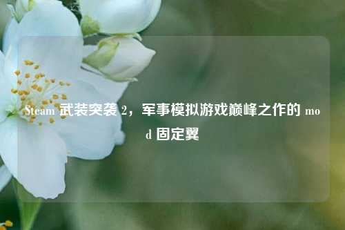 Steam 武装突袭 2,军事模拟游戏巅峰之作的 mod 固定翼