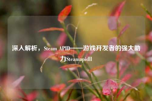 深入解析,Steam APID——游戏开发者的强大助力Steamapidll