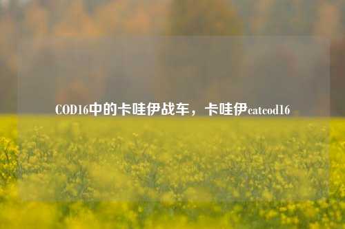 COD16中的卡哇伊战车，卡哇伊catcod16
