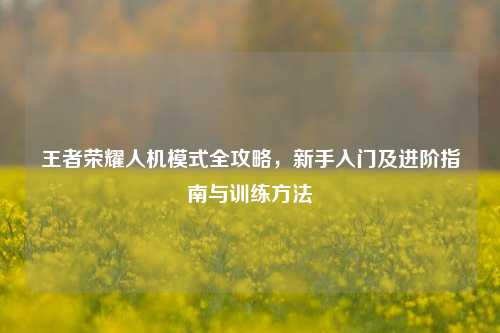 王者荣耀人机模式全攻略,新手入门及进阶指南与训练方法