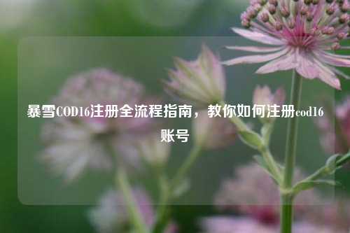 暴雪COD16注册全流程指南,教你如何注册cod16账号