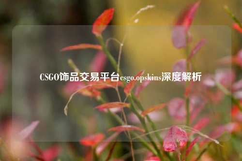 CSGO饰品交易平台csgo.opskins深度解析