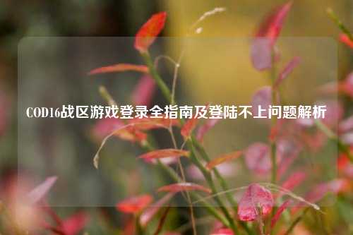 COD16战区游戏登录全指南及登陆不上问题解析