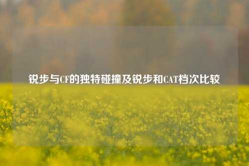 锐步与CF的独特碰撞及锐步和CAT档次比较