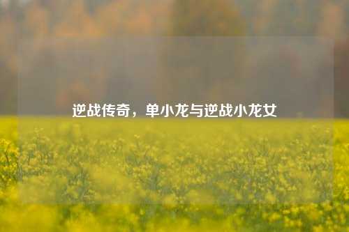 逆战传奇，单小龙与逆战小龙女