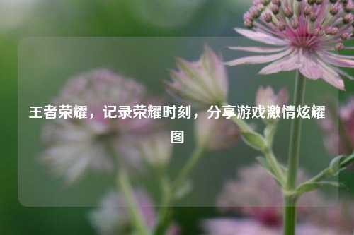 王者荣耀,记录荣耀时刻,分享游戏 炫耀图