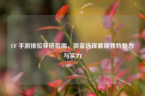 CF 手游排位穿搭指南,装备选择展现独特魅力与实力