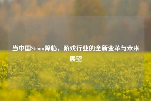 当中国Steam降临，游戏行业的全新变革与未来展望