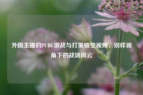 外国主播的PUBG激战与打黑悟空视频，别样视角下的战场风云