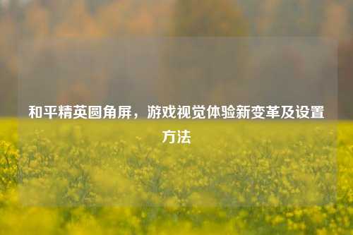 和平精英圆角屏，游戏视觉体验新变革及设置方法