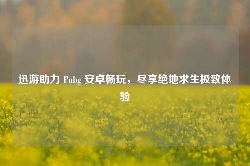 迅游助力 Pubg 安卓畅玩,尽享绝地求生极致体验