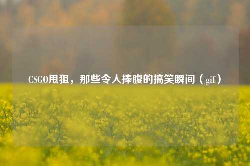 CSGO甩狙，那些令人捧腹的搞笑瞬间（gif）