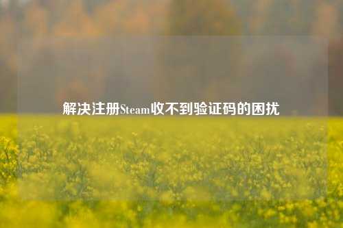 解决注册Steam收不到验证码的困扰
