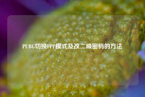 PUBG切换FPP模式及改二级密码的