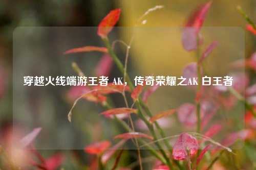 穿越火线端游王者 AK，传奇荣耀之AK 白王者