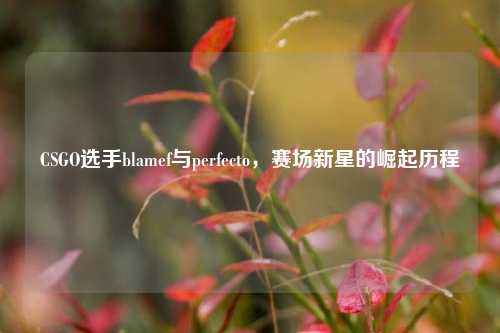 CSGO选手blamef与perfecto，赛场新星的崛起历程