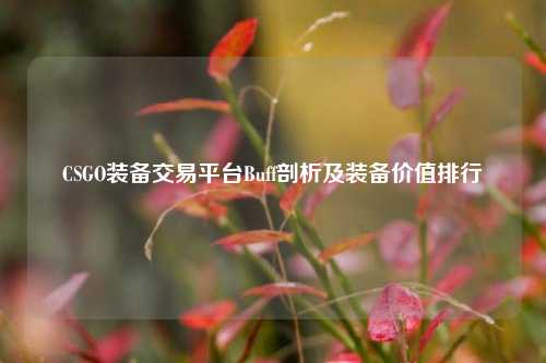CSGO装备交易平台Buff剖析及装备价值排行