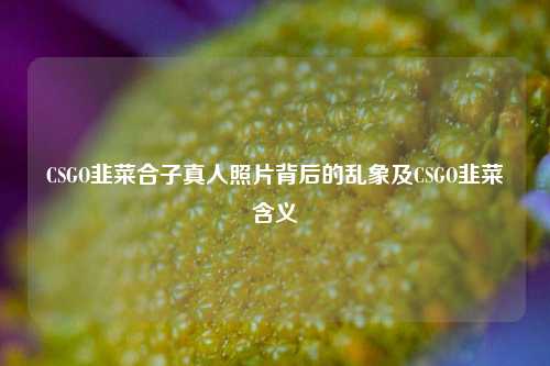 CSGO韭菜合子真人照片背后的乱象及CSGO韭菜含义