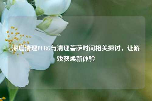 深度清理PUBG与清理菩萨时间相关探讨，让游戏获焕新体验