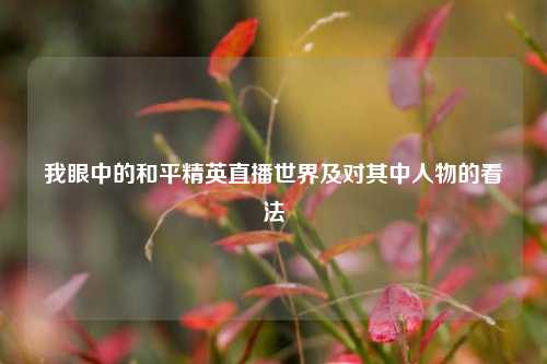 我眼中的和平精英直播世界及对其中人物的看法