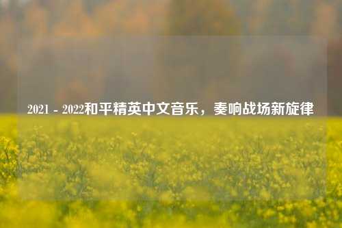 2021 - 2022和平精英中文音乐，奏响战场新旋律