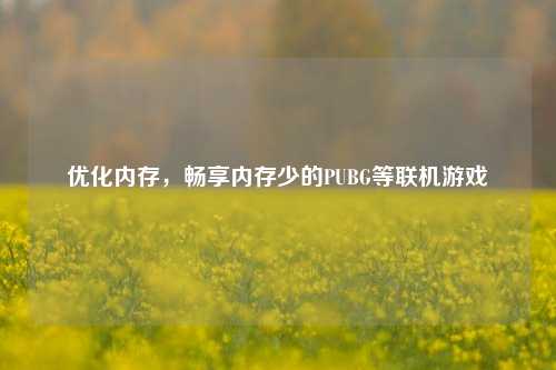 优化内存，畅享内存少的PUBG等联机游戏