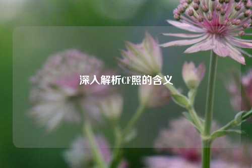 深入解析CF照的含义