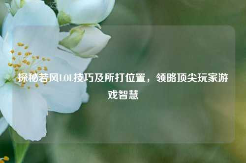 探秘若风LOL技巧及所打位置，领略顶尖玩家游戏智慧