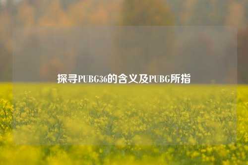 探寻PUBG36的含义及PUBG所指