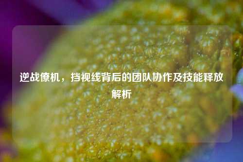 逆战僚机,挡视线背后的团队协作及技能释放解析