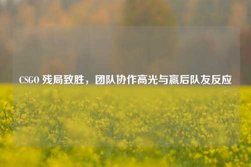 CSGO 残局致胜，团队协作高光与赢后队友反应