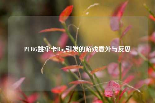 PUBG跳伞卡Bug引发的游戏意外与反思