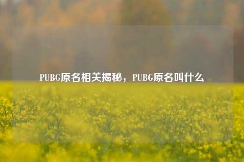 PUBG原名相关揭秘,PUBG原名叫什么