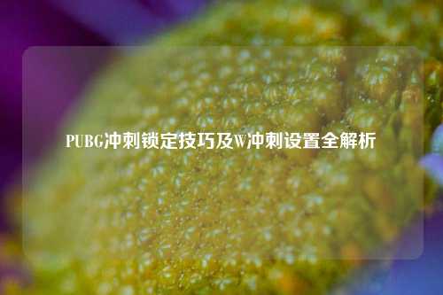 PUBG冲刺锁定技巧及W冲刺设置全解析