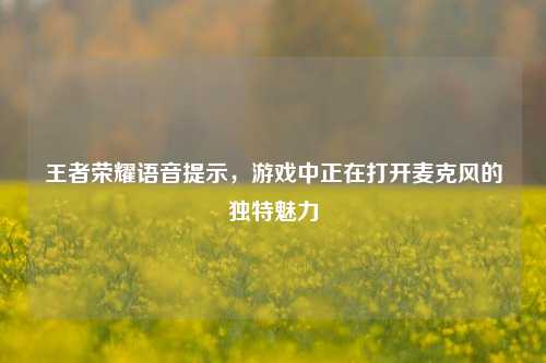 王者荣耀语音提示，游戏中正在打开麦克风的独特魅力