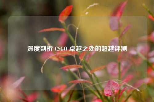 深度剖析 CSGO 卓越之处的超越评测