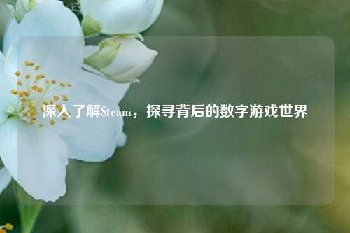 深入了解Steam,探寻背后的数字游戏世界