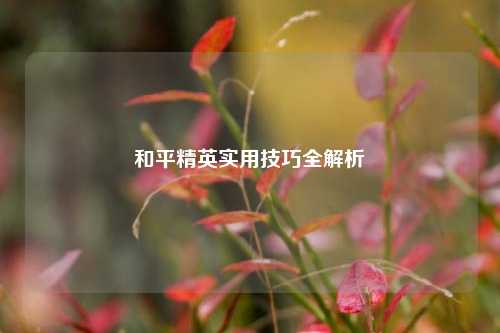 和平精英实用技巧全解析