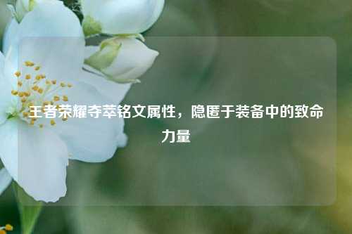 王者荣耀夺萃铭文属性，隐匿于装备中的致命力量