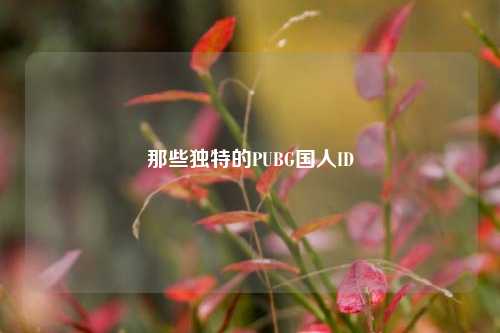 那些独特的PUBG国人ID