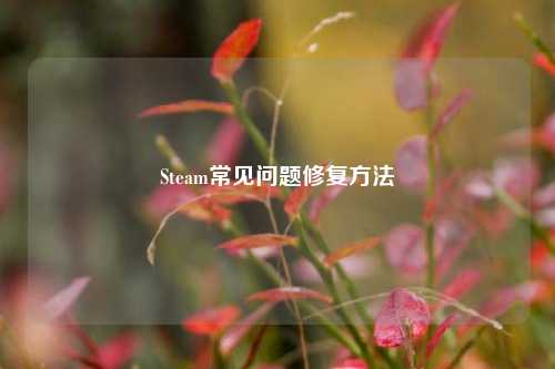 Steam常见问题修复方法