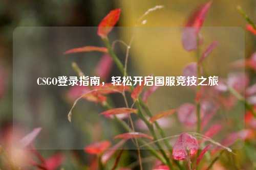 CSGO登录指南，轻松开启国服竞技之旅