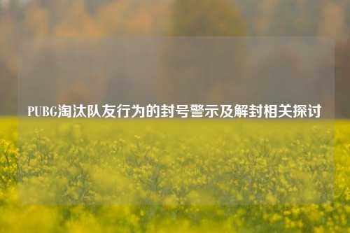 PUBG淘汰队友行为的封号警示及解封相关探讨