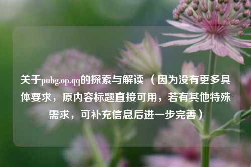关于pubg.op.qq的探索与解读 (因为没有更多具体要求,原内容标题直接可用,若有其他特殊需求,可补充信息后进一步完善)