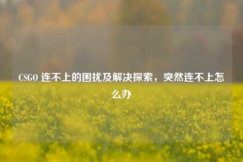 CSGO 连不上的困扰及解决探索，突然连不上怎么办